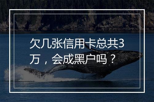 欠几张信用卡总共3万，会成黑户吗？