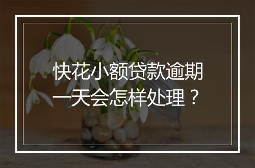 快花小额贷款逾期一天会怎样处理？