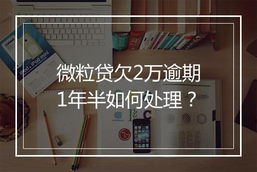 微粒贷欠2万逾期1年半如何处理？