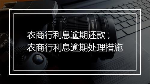 农商行利息逾期还款 ,农商行利息逾期处理措施