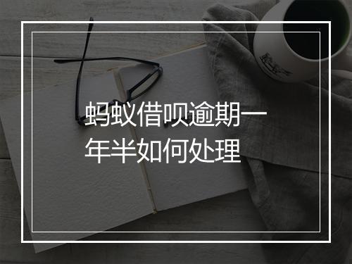 蚂蚁借呗逾期一年半如何处理
