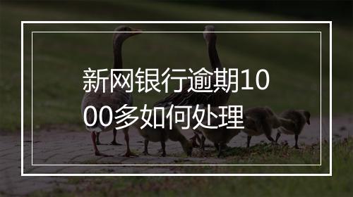 新网银行逾期1000多如何处理