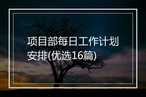 项目部每日工作计划安排(优选16篇)