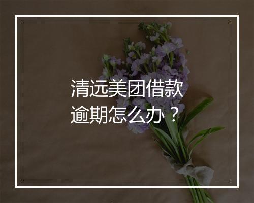清远美团借款逾期怎么办？