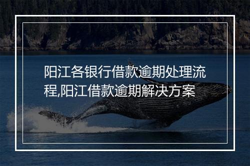 阳江各银行借款逾期处理流程,阳江借款逾期解决方案