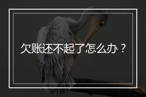 欠账还不起了怎么办？