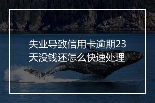 失业导致信用卡逾期23天没钱还怎么快速处理