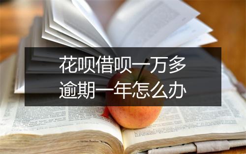 花呗借呗一万多逾期一年怎么办