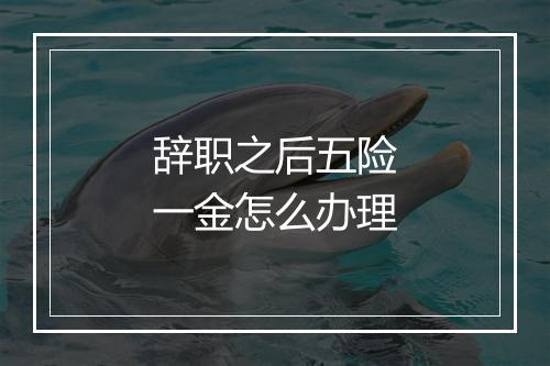 辞职之后五险一金怎么办理