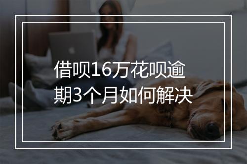 借呗16万花呗逾期3个月如何解决