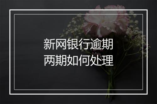 新网银行逾期两期如何处理