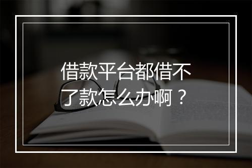 借款平台都借不了款怎么办啊？