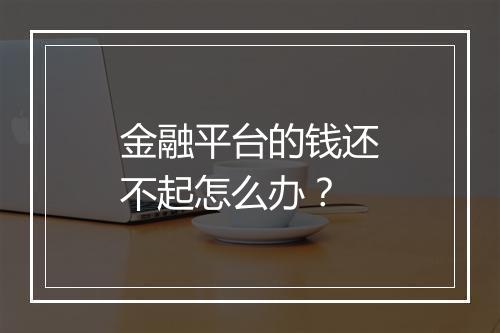 金融平台的钱还不起怎么办？