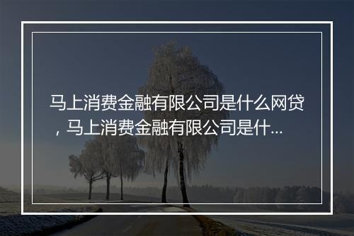 马上消费金融有限公司是什么网贷，马上消费金融有限公司是什么
