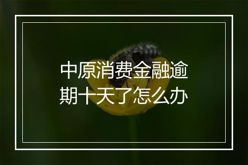 中原消费金融逾期十天了怎么办