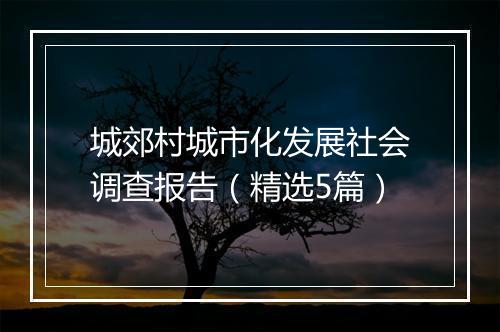 城郊村城市化发展社会调查报告（精选5篇）