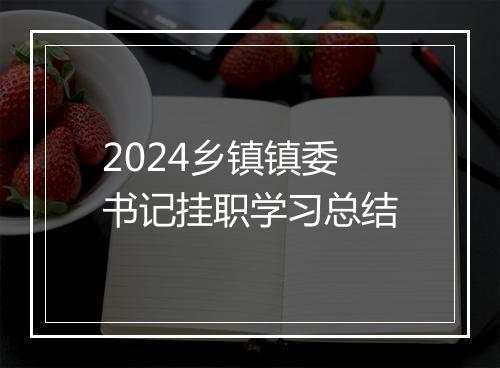 2024乡镇镇委书记挂职学习总结