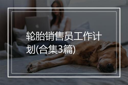 轮胎销售员工作计划(合集3篇)