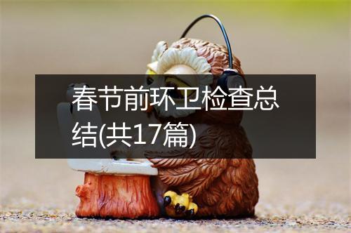春节前环卫检查总结(共17篇)