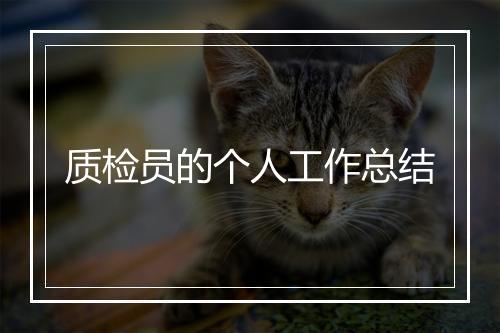 质检员的个人工作总结