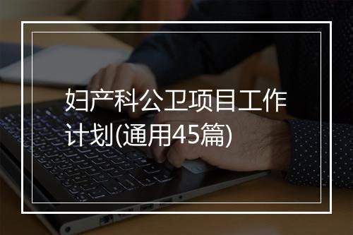 妇产科公卫项目工作计划(通用45篇)