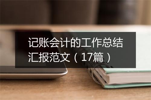记账会计的工作总结汇报范文（17篇）