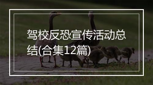驾校反恐宣传活动总结(合集12篇)
