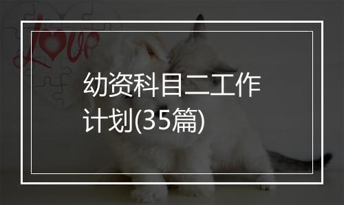 幼资科目二工作计划(35篇)