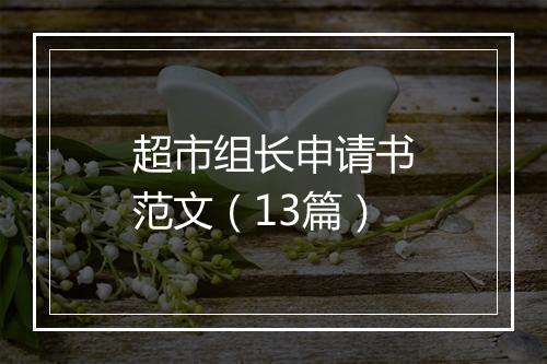 超市组长申请书范文（13篇）