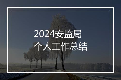 2024安监局个人工作总结