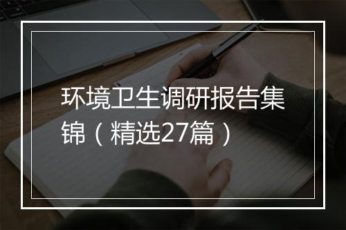 环境卫生调研报告集锦（精选27篇）