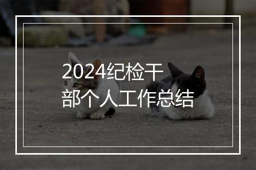 2024纪检干部个人工作总结