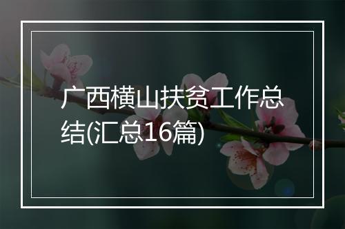 广西横山扶贫工作总结(汇总16篇)