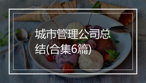 城市管理公司总结(合集6篇)