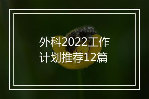 外科2022工作计划推荐12篇