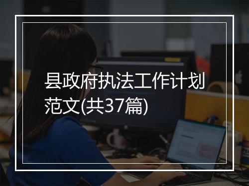 县政府执法工作计划范文(共37篇)