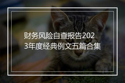 财务风险自查报告2023年度经典例文五篇合集