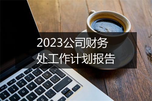 2023公司财务处工作计划报告