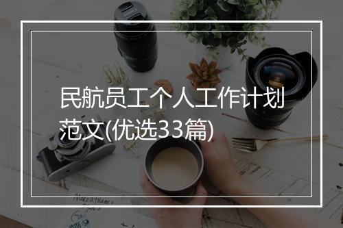 民航员工个人工作计划范文(优选33篇)