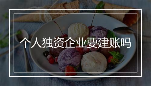 个人独资企业要建账吗