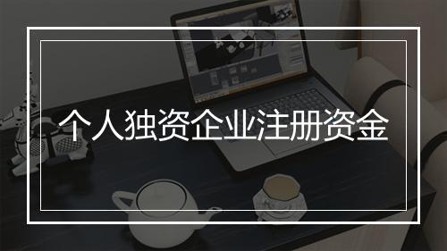 个人独资企业注册资金