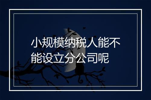 小规模纳税人能不能设立分公司呢