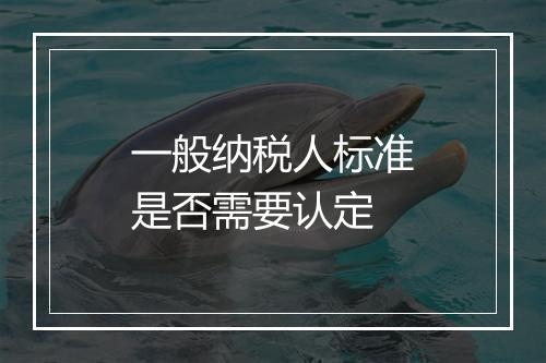 一般纳税人标准是否需要认定