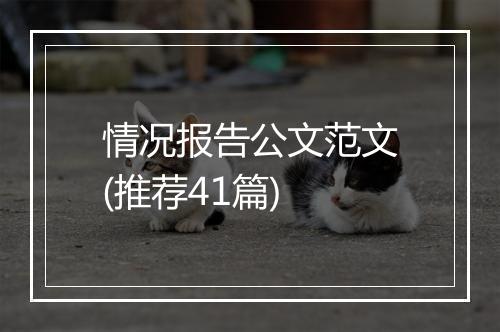 情况报告公文范文(推荐41篇)