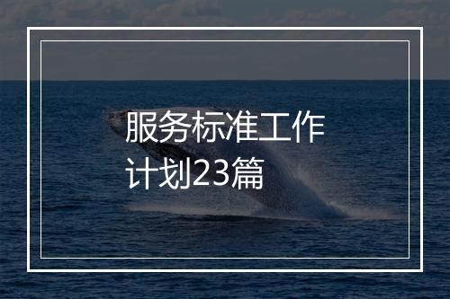 服务标准工作计划23篇