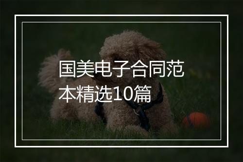 国美电子合同范本精选10篇