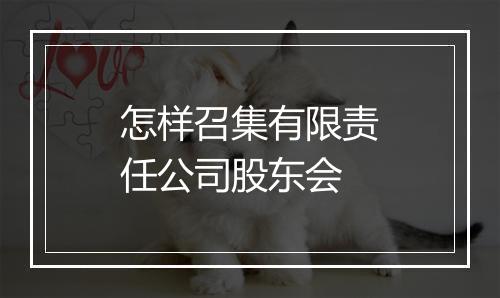 怎样召集有限责任公司股东会