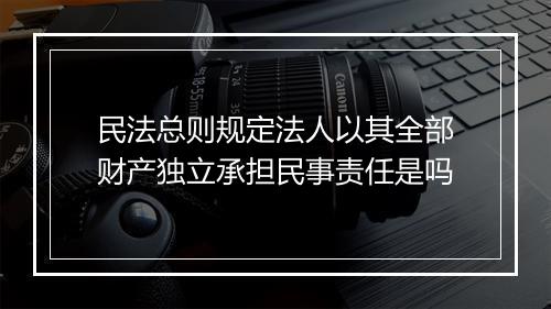 民法总则规定法人以其全部财产独立承担民事责任是吗