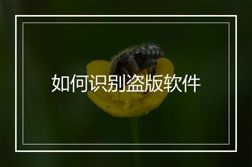 如何识别盗版软件