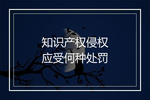 知识产权侵权应受何种处罚